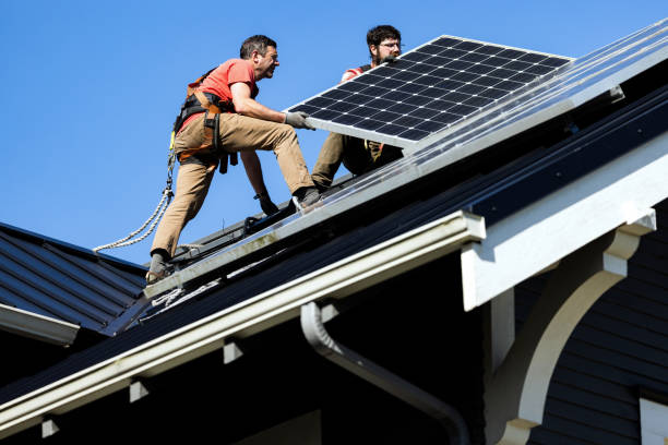 Best Roof Moss and Algae Removal  in Point Marion, PA